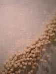 Welts: Welts Ivory Soap and cotton, 2004
